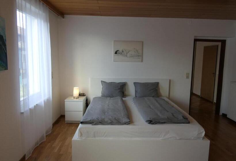 스탠다드 룸 산 전망, Historische Villa Im Herzen Rankweils