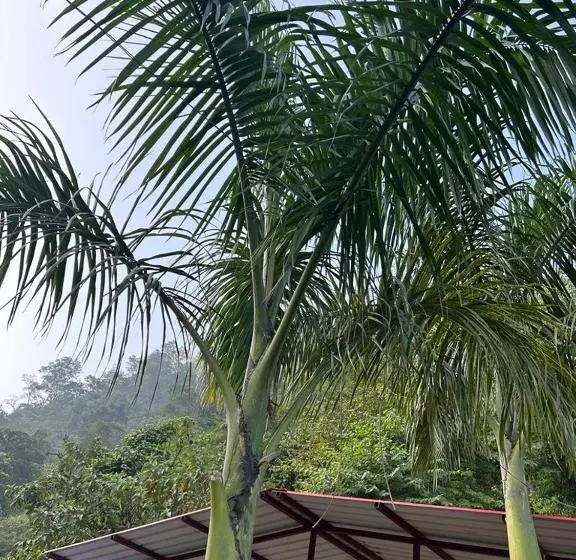 デラックスルーム, The Family And Friends Resort Rishikesh