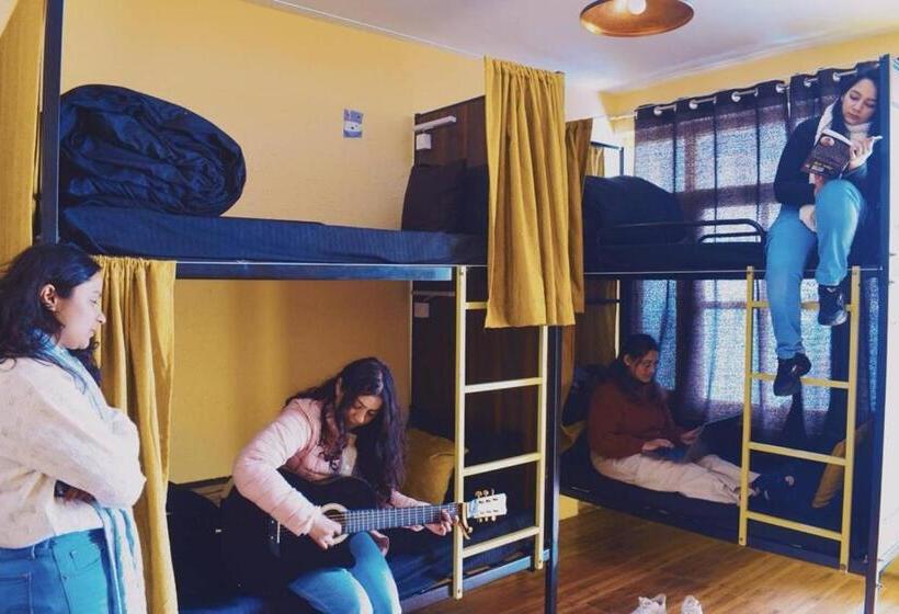 Кровать в Общей Комнате, Trippy Turtle Hostel