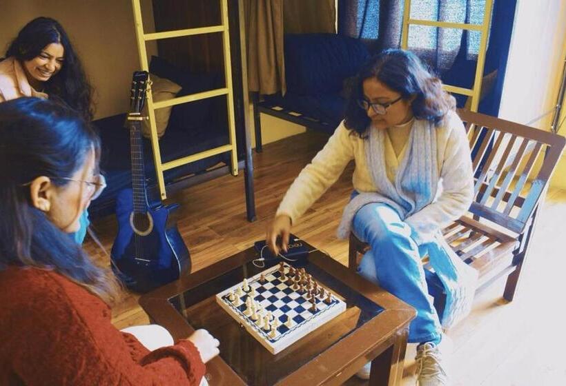 Кровать в Общей Комнате, Trippy Turtle Hostel