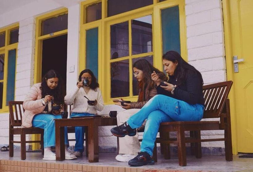 Кровать в Общей Комнате, Trippy Turtle Hostel