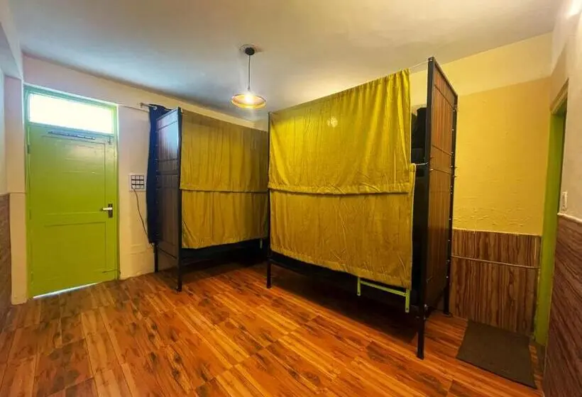 Llit en Habitació Compartida, Trippy Turtle Hostel