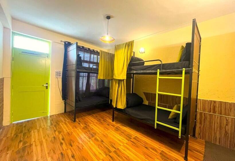 Кровать в Общей Комнате, Trippy Turtle Hostel