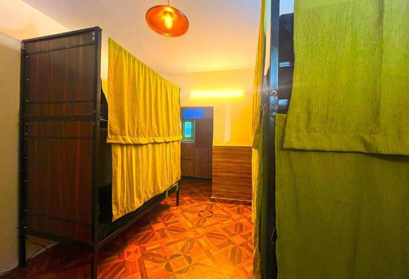 Кровать в Общей Комнате, Trippy Turtle Hostel