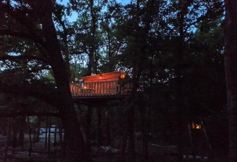 スタンダードルーム, Cabane Perchée Chez Yahmz