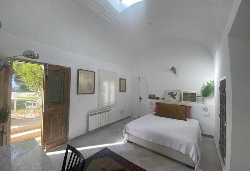 اتاق استاندارد با تخت بزرگ, Lella Zohra, Studio Avec Piscine à Sidi Bou Said