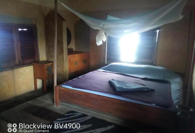 اتاق خانوادگی, Fantas Folly Beach Lodge