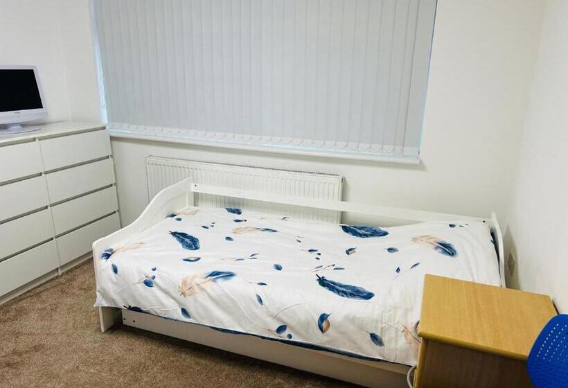 スタンダードシングルルーム, Large Guest Room
