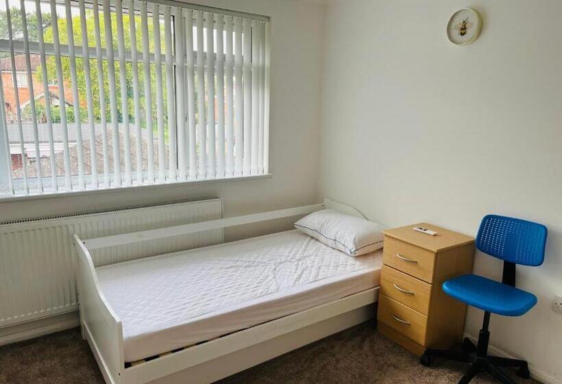 スタンダードシングルルーム, Large Guest Room