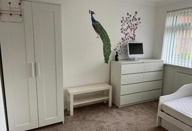 Quarto Estandar Individual, Large Guest Room