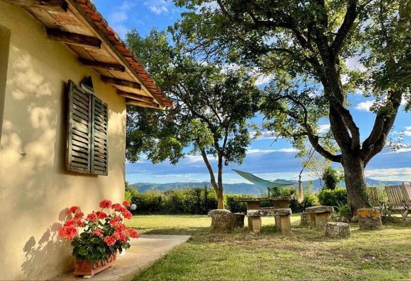 マウンテンビューデラックスルーム, Casa Le Rondini Toscana