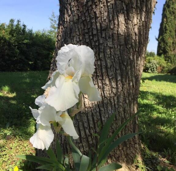 マウンテンビューデラックスルーム, Casa Le Rondini Toscana