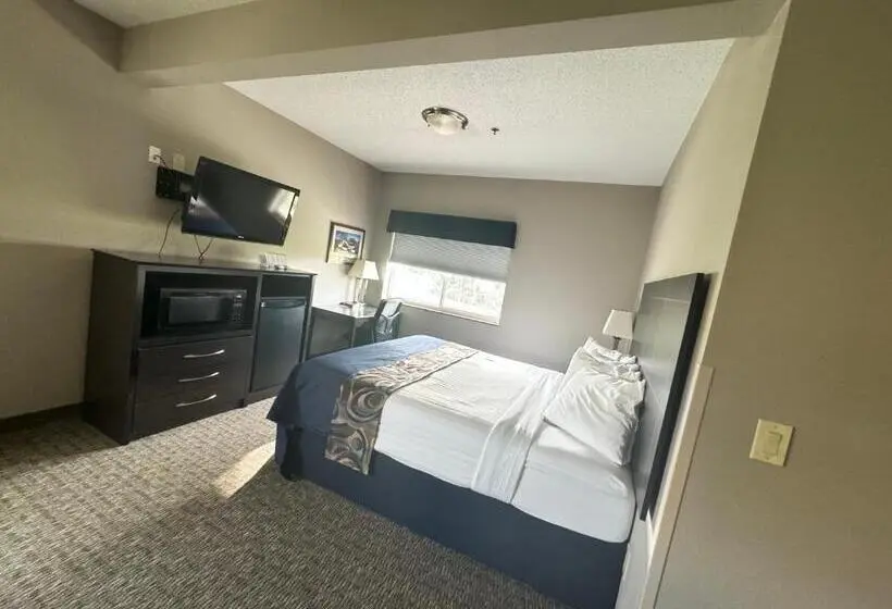 キングサイズベッドのスイートルーム, Garner Inn & Suites