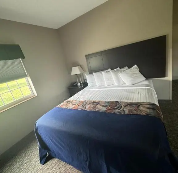 キングサイズベッドのスイートルーム, Garner Inn & Suites