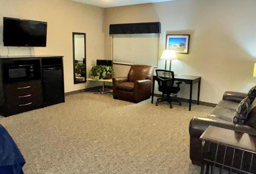 جناح ديلوكس سرير كينج, Garner Inn & Suites