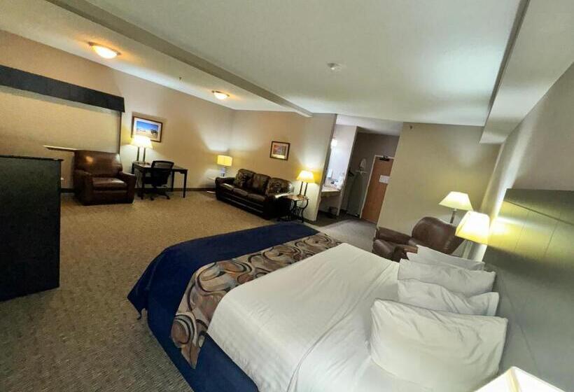 جناح ديلوكس سرير كينج, Garner Inn & Suites