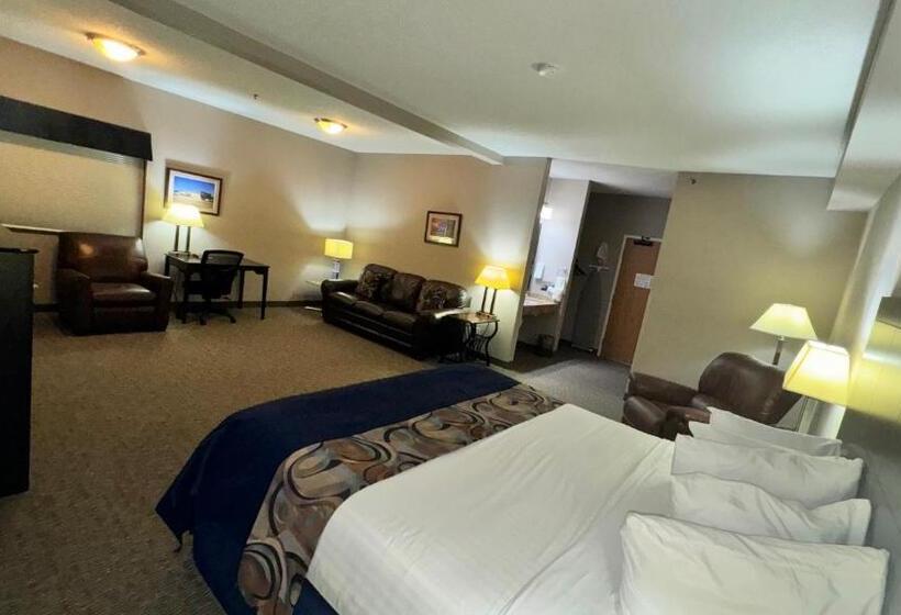 جناح ديلوكس سرير كينج, Garner Inn & Suites