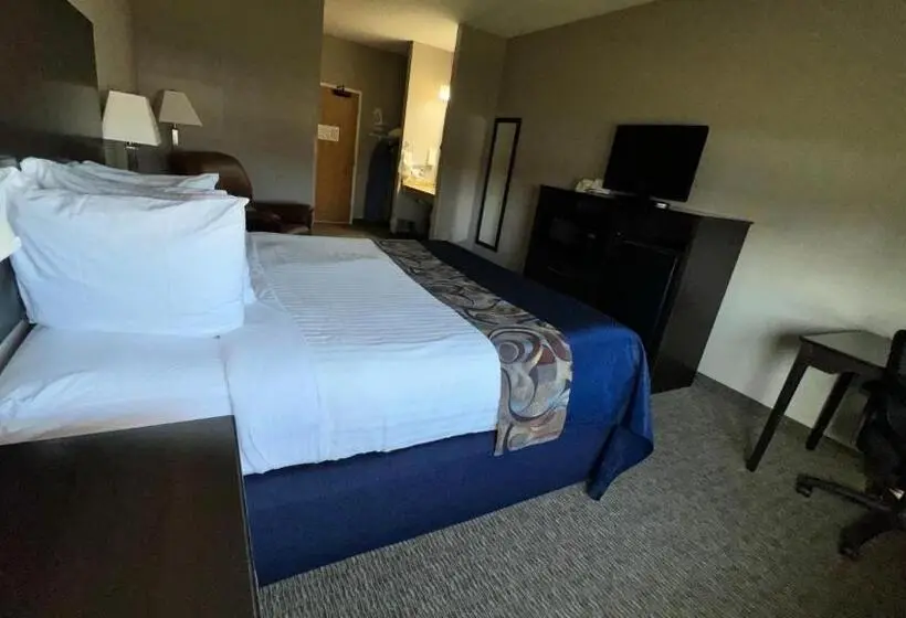 キングサイズベッドのスタンダードルーム, Garner Inn & Suites
