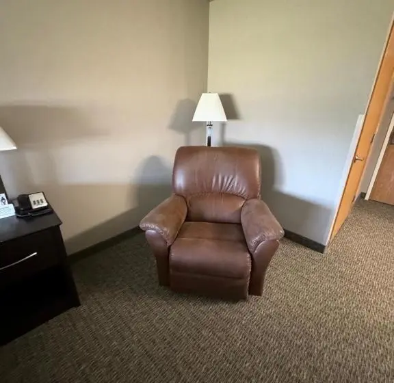 キングサイズベッドのスタンダードルーム, Garner Inn & Suites