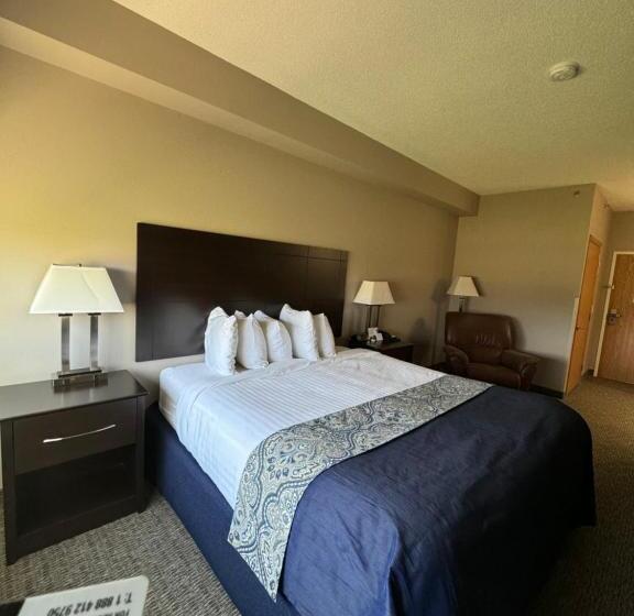 غرفة قياسية سرير كينج, Garner Inn & Suites