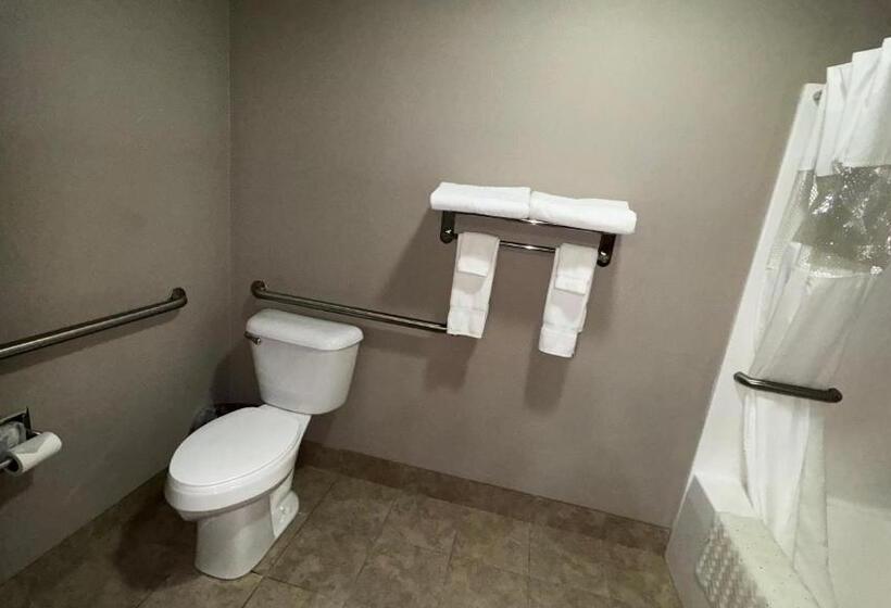 غرفة قياسية سرير كينج لذوى الإحتياجات الخاصة, Garner Inn & Suites