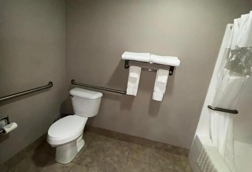 身障者適用キングサイズベッドルーム, Garner Inn & Suites