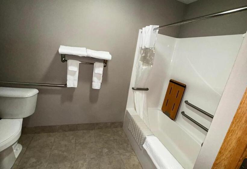 Номер Стандарт Кровать Кинг Адаптированный для Инвалидов, Garner Inn & Suites