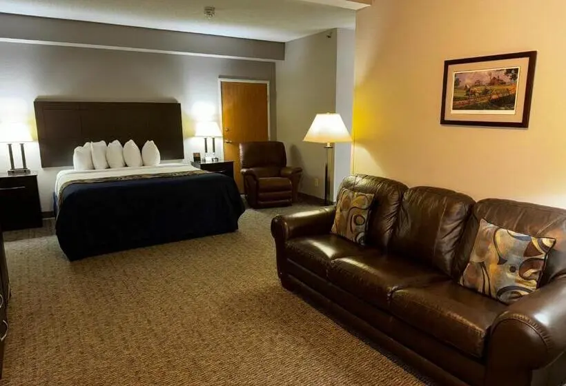 身障者適用キングサイズベッドルーム, Garner Inn & Suites