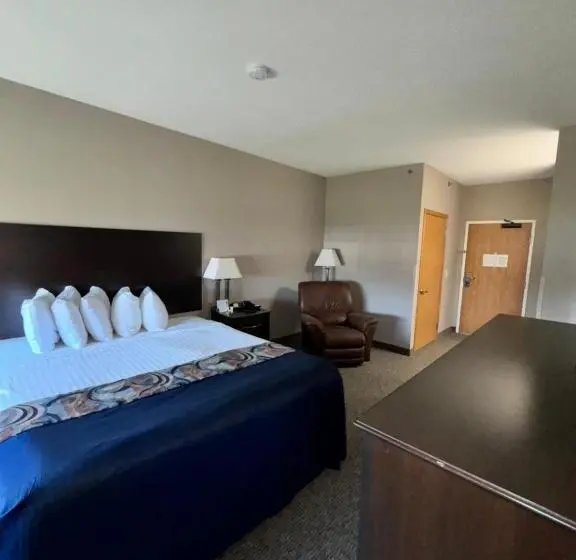 キングサイズベッドのスタンダードルーム, Garner Inn & Suites