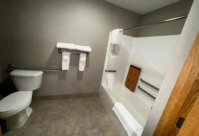 身障者適用キングサイズベッドルーム, Garner Inn & Suites