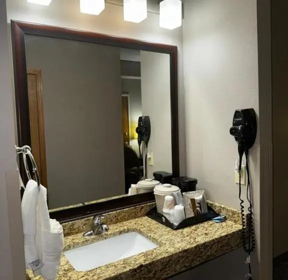 身障者適用キングサイズベッドルーム, Garner Inn & Suites