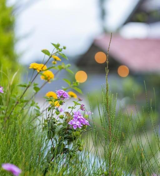 스탠다드 룸 가든 전망, Le Serene Munnar Resorts & Spa
