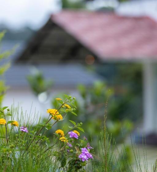 标准房带园景, Le Serene Munnar Resorts & Spa