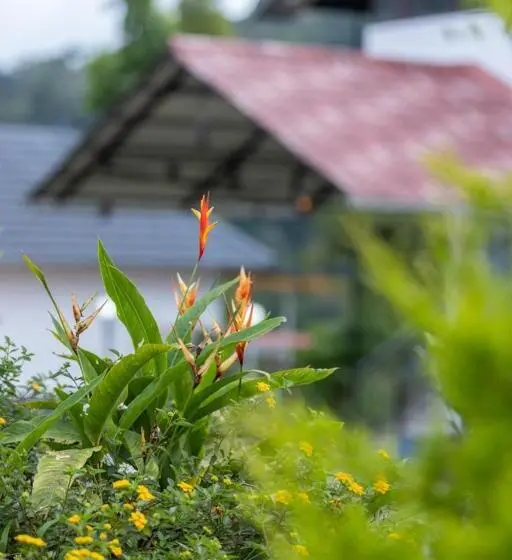 ガーデンビュースタンダードルーム, Le Serene Munnar Luxury Resorts & Spa
