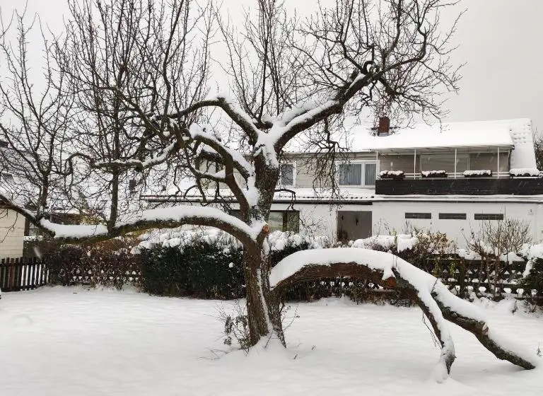 Standard-huone, Gästehaus Familie Rinke