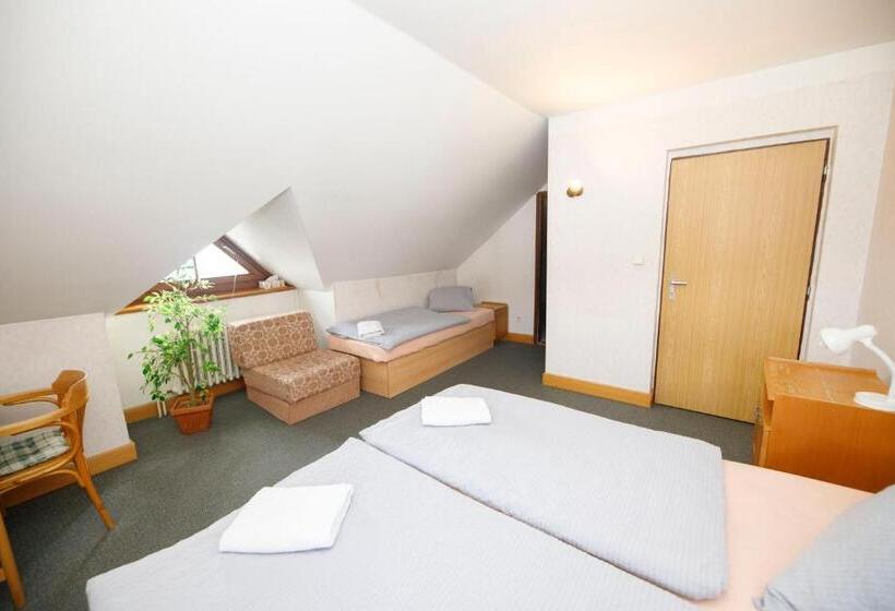 اتاق استاندارد سه نفره, Malá Rennerovka