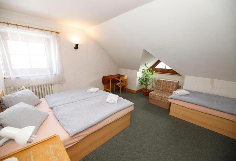 اتاق استاندارد سه نفره, Malá Rennerovka