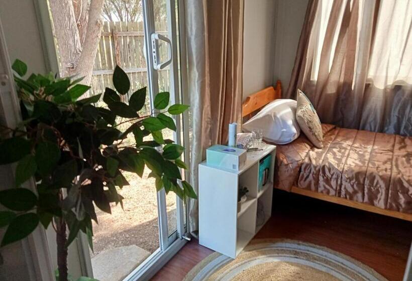 标准单人间, The City Dweller Kingaroy