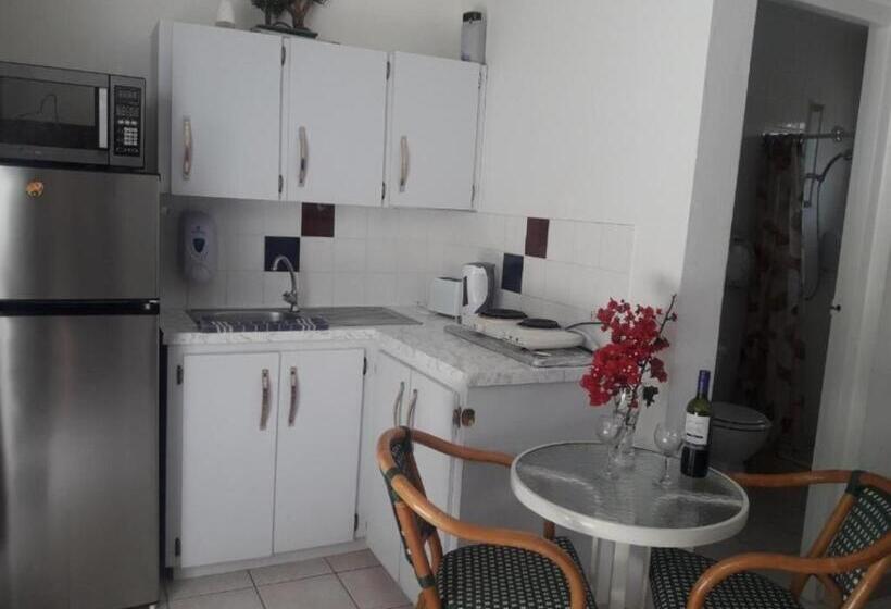 استودیوی لوکس, First Day Hotel On Aruba!