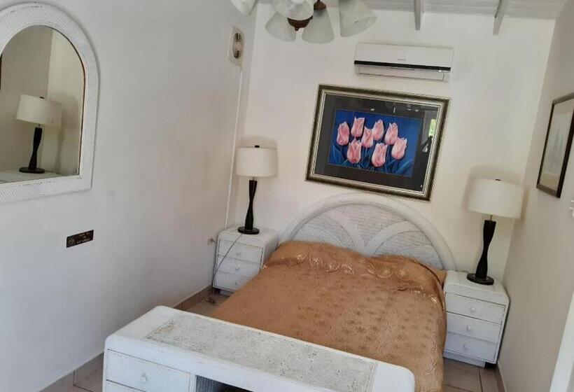 سوییت جونیور با چشمانداز استخر, First Day Hotel On Aruba!