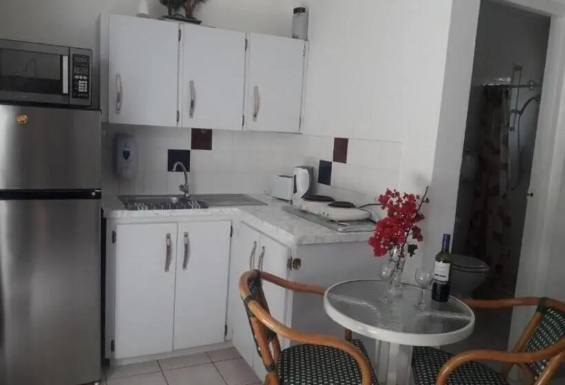 اتاق خانوادگی, First Day Hotel On Aruba!