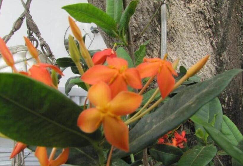 اتاق خانوادگی, First Day Hotel On Aruba!