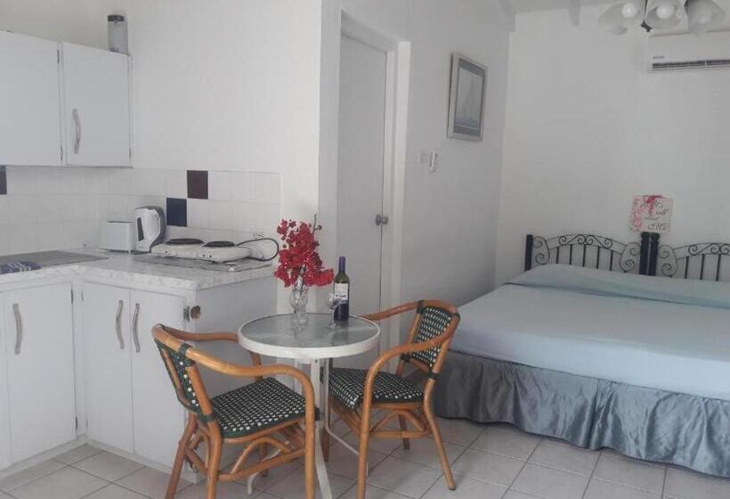 استودیوی لوکس, First Day Hotel On Aruba!