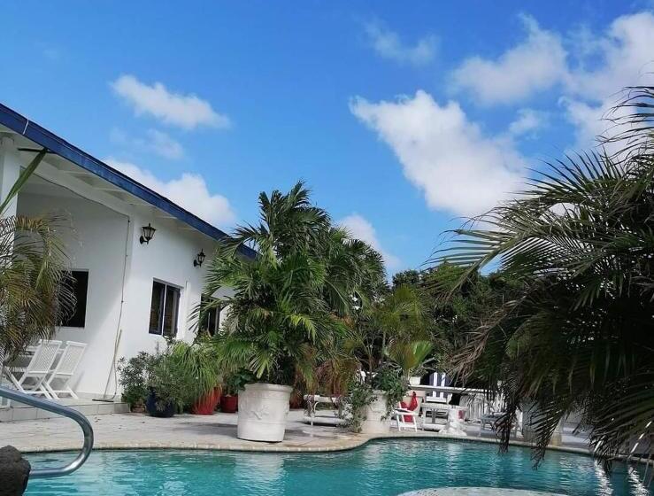 استودیوی لوکس, First Day Hotel On Aruba!