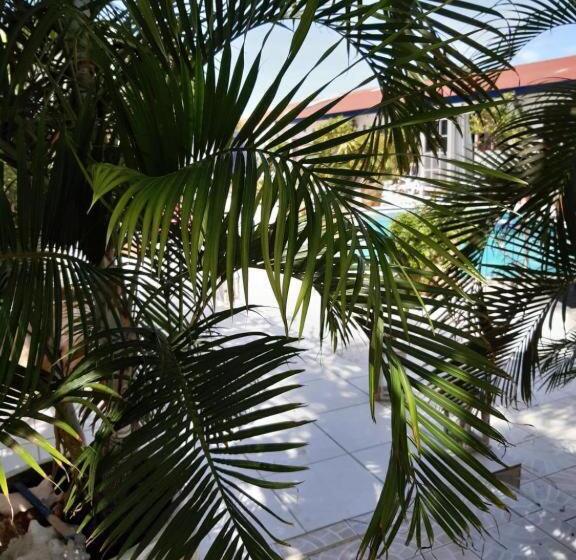 استودیوی لوکس, First Day Hotel On Aruba!