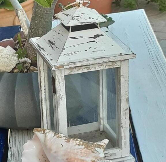 سوییت جونیور با چشمانداز استخر, First Day Hotel On Aruba!