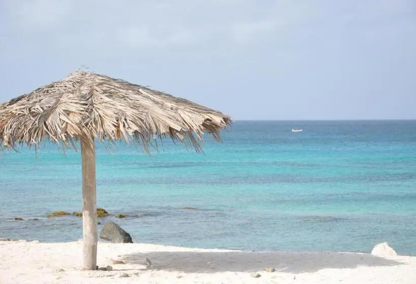 سوییت جونیور با چشم‌انداز استخر, First Day Hotel On Aruba!