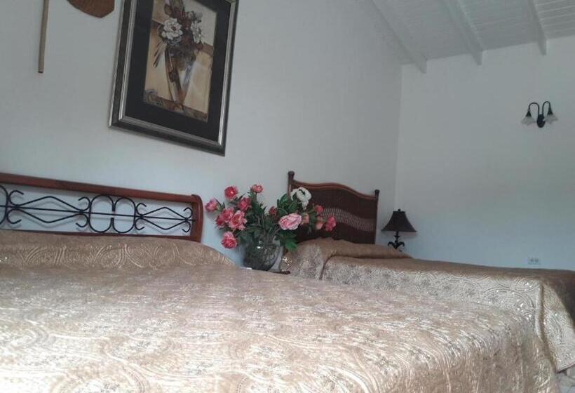 اتاق خانوادگی, First Day Hotel On Aruba!