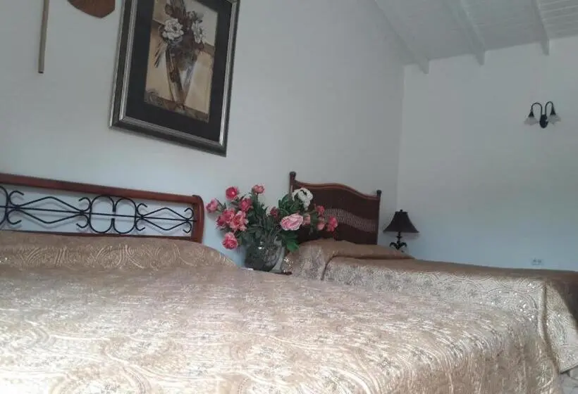 اتاق خانوادگی, First Day Hotel On Aruba!