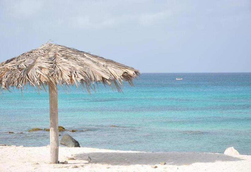 استودیوی لوکس, First Day Hotel On Aruba!